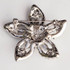 star brooch