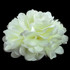 Fabric Flower