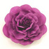 Purple Flower