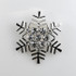 Snow Flake Brooch-BH8515