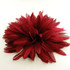 FR193055-Burgundy Chiffon Flower