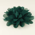 Teal Color Flower