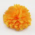 Yellow Satin Flower