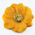 FR142345-Large Gold Flower with Center Brooch