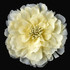 FR103372-Fabric Flower Pin