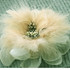 FR162023-Tan Feather Flower Pin