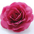 FR106100-Burgundy Rose Flower Pin