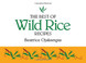 The Best of Wild Rice Recipes