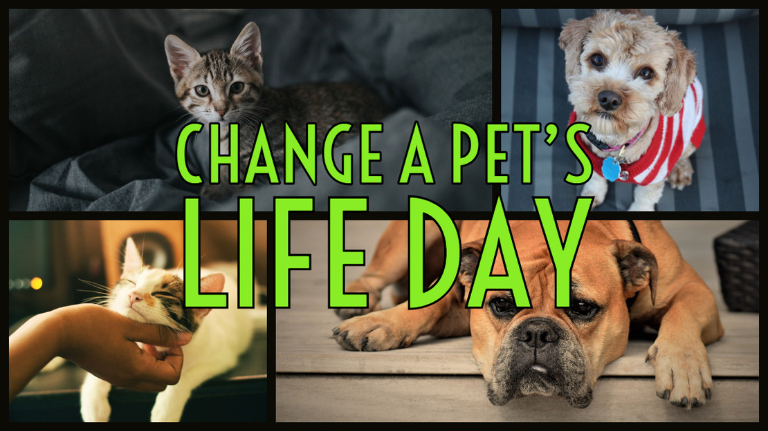 ​Change a Pet’s Life Day