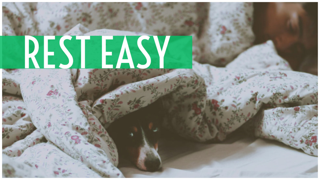 Rest Easy
