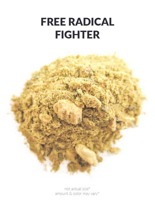 Free Radical Fighter Tea