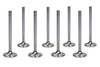 FERREA SBC C/P HS 1.600 Exhaust Valves