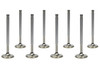 FERREA SBC C/P 1.600in Exhaust Valves