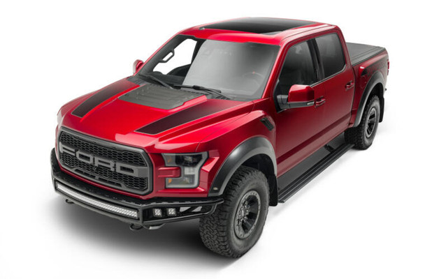 AMP RESEARCH PowerStep Smart Series 21-     Ford F150