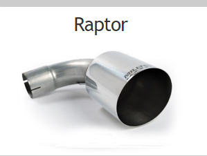 raptor.jpg