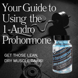 1-Andro Guide: How to Use this Prohormone