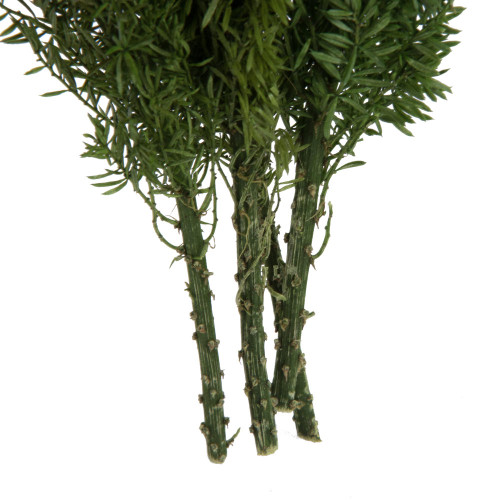 Vickerman 8-10 inch Green Foxtail Fern, 16 Stem Bunch, Preserved