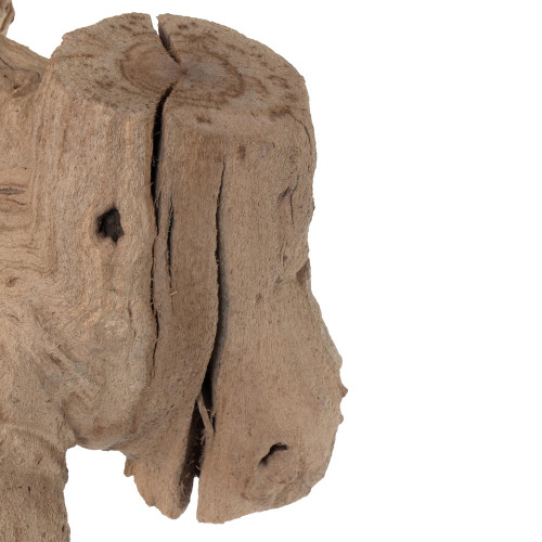 Vickerman Vickerman Grapewood Sand Blasted trunk branchy, Dried