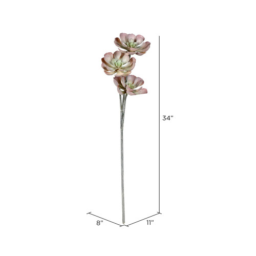 Vickerman Artificial Peperomia Succulent