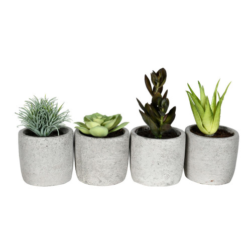 Vickerman Artificial Assorted Potted Artificial Succulents
