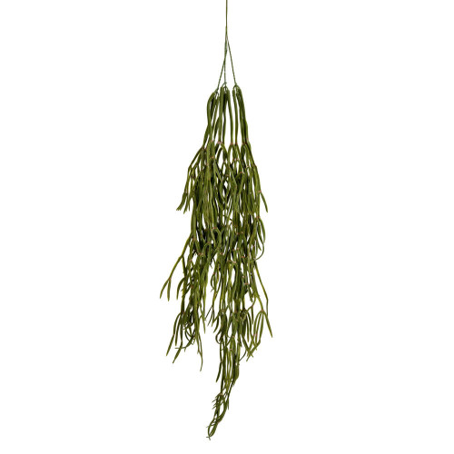 Vickerman 36 Green Trailing Grass Spray 3/pk