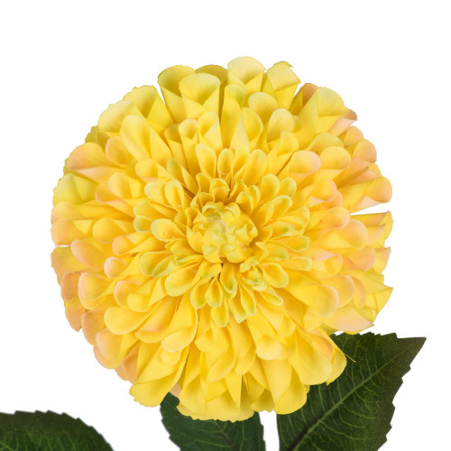  Vickerman Artificial Zinnia Stem 
