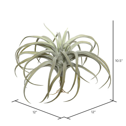  Vickerman Artificial Tillandsia Pick 