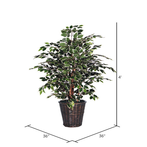  Vickerman Artificial Variegated Ficus Extra Full Series 
