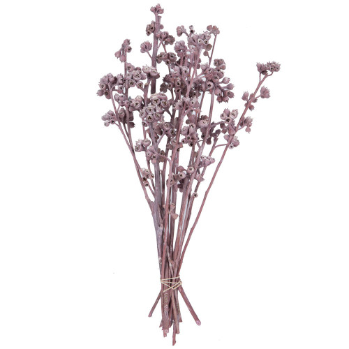  Vickerman Natural Botanicals 13" x 1-3" Red Gum Branch Frosted, 14 stems per unit 