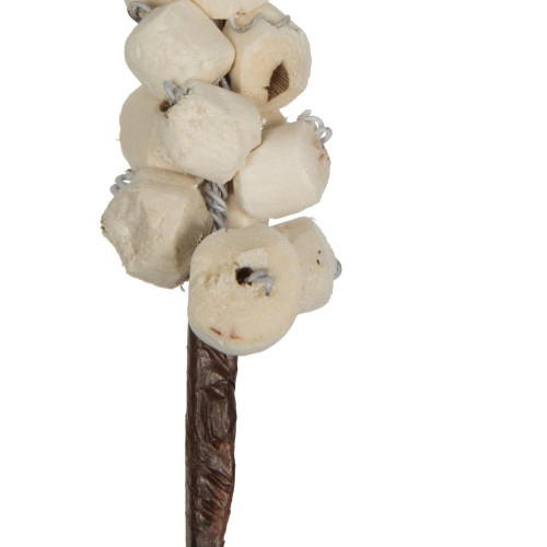 Vickerman 24" Natural Sola Berries Stick 24/bg 