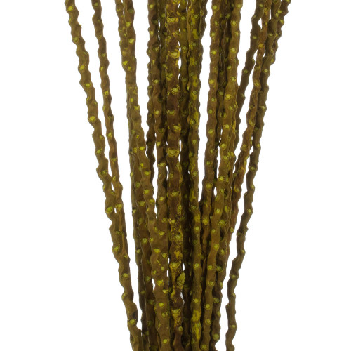  Vickerman 36"-40" Caba Spine Bundle, Dried 24oz 