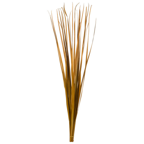  Vickerman 36-40" Sable Grass, Dried 