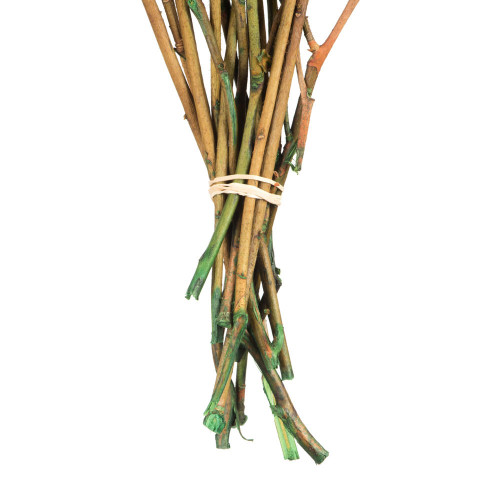  Vickerman 16-22" Natural Botanicals Salal Foliage Bunch 