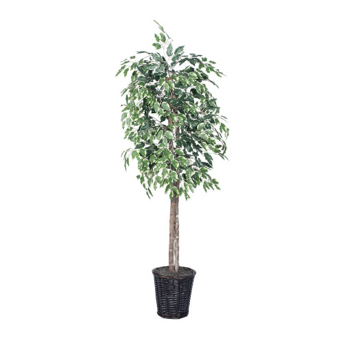  Vickerman 6' Artificial Variegated Ficus Tree 