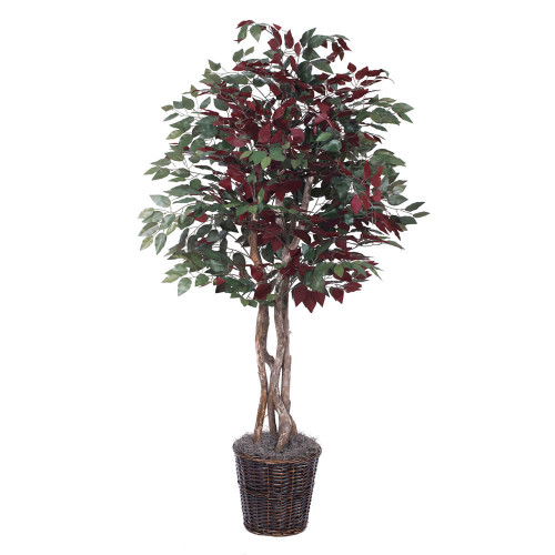  Vickerman Artificial Capensia Executive Potted Tree 