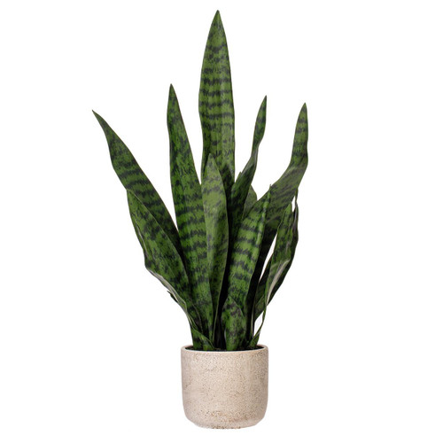  Vickerman 25 inch  Artificial Green Snake Plant in 5.1 x 5.1 x 4.7 inch  White and Brown Speckled Cement Pot. 