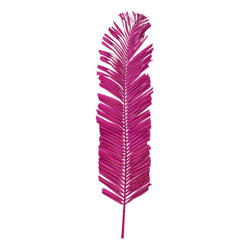  Vickerman 44 inch  Raspberry Round Tip Palm Leaf, 6 per bag. This is a natural product, dimensions and color may vary plant to plant. 