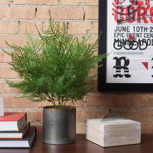  Vickerman Artificial Green Asparagus Bush 