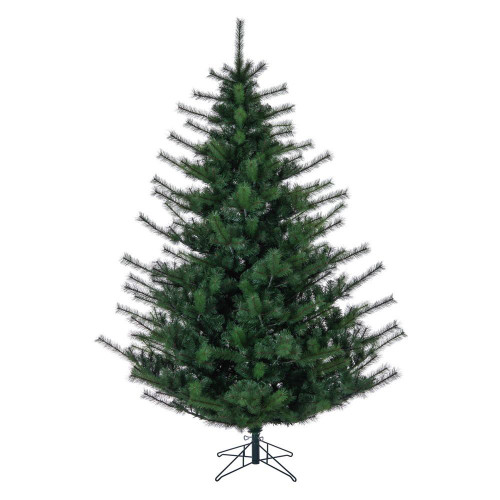 Vickerman Lodge Pole Pine Tree 