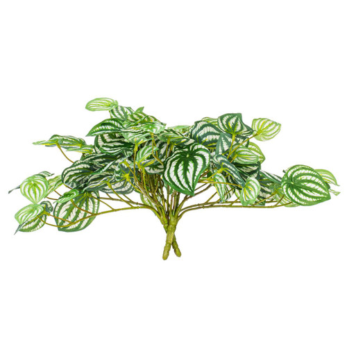  Vickerman Artificial Watermelon Peperomia Bush 