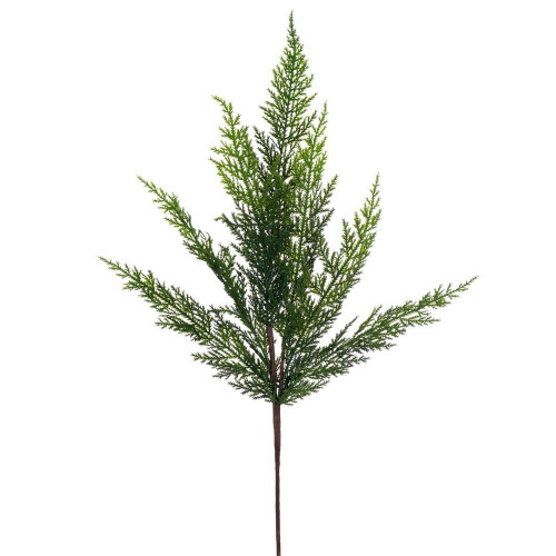  Vickerman Long Stem Cypress Series 
