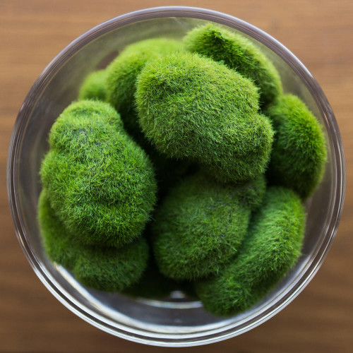 Vickerman Artificial Moss Covered Rocks, there are 36 Rocks per Bag