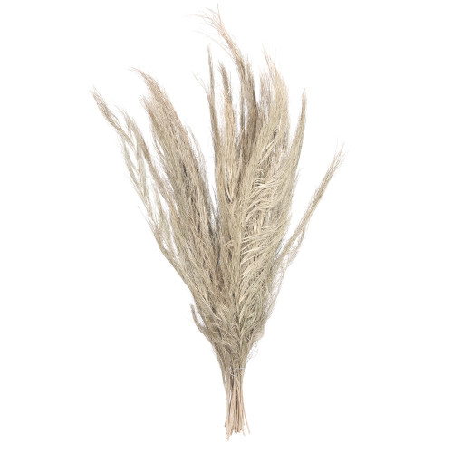 Vickerman Natural Botanicals 40 inch Khejur Sikha Includes 30 pieces per Pack