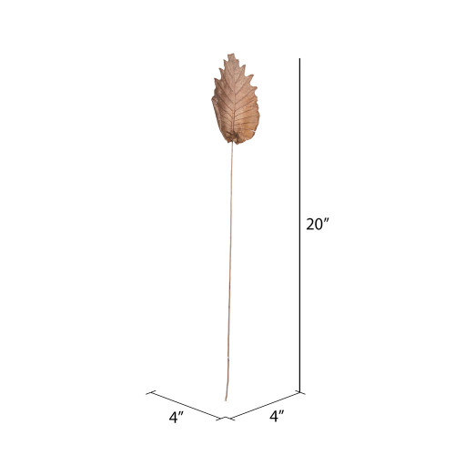 Vickerman Natural Botanicals 20 inch Oak Leaf, Natural on Natural Ting Ting Includes 100 pieces per Pack
