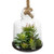 Vickerman 10 inch Artificial Green Assorted Succulents in Glass Jar