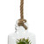 Vickerman 10 inch Artificial Green Assorted Succulents in Glass Jar