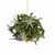 Vickerman 10 inch Artificial Green Fern Ball