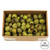 Vickerman BELLGUM PODS BULK, BASIL, 2 LB BULK CASE OF 25 pieces, Dried