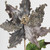 Vickerman Vickerman 20 inch Silver Pointed Pearl Poinsettia Artificial Christmas Stem, Pack of 3