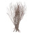 Vickerman 36 inch Tigerwood bundle, 25 stems per Bundle , Dried